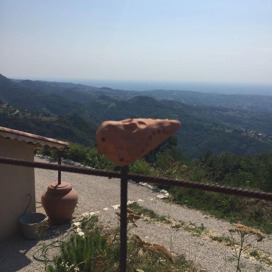 Calvenere Calvene