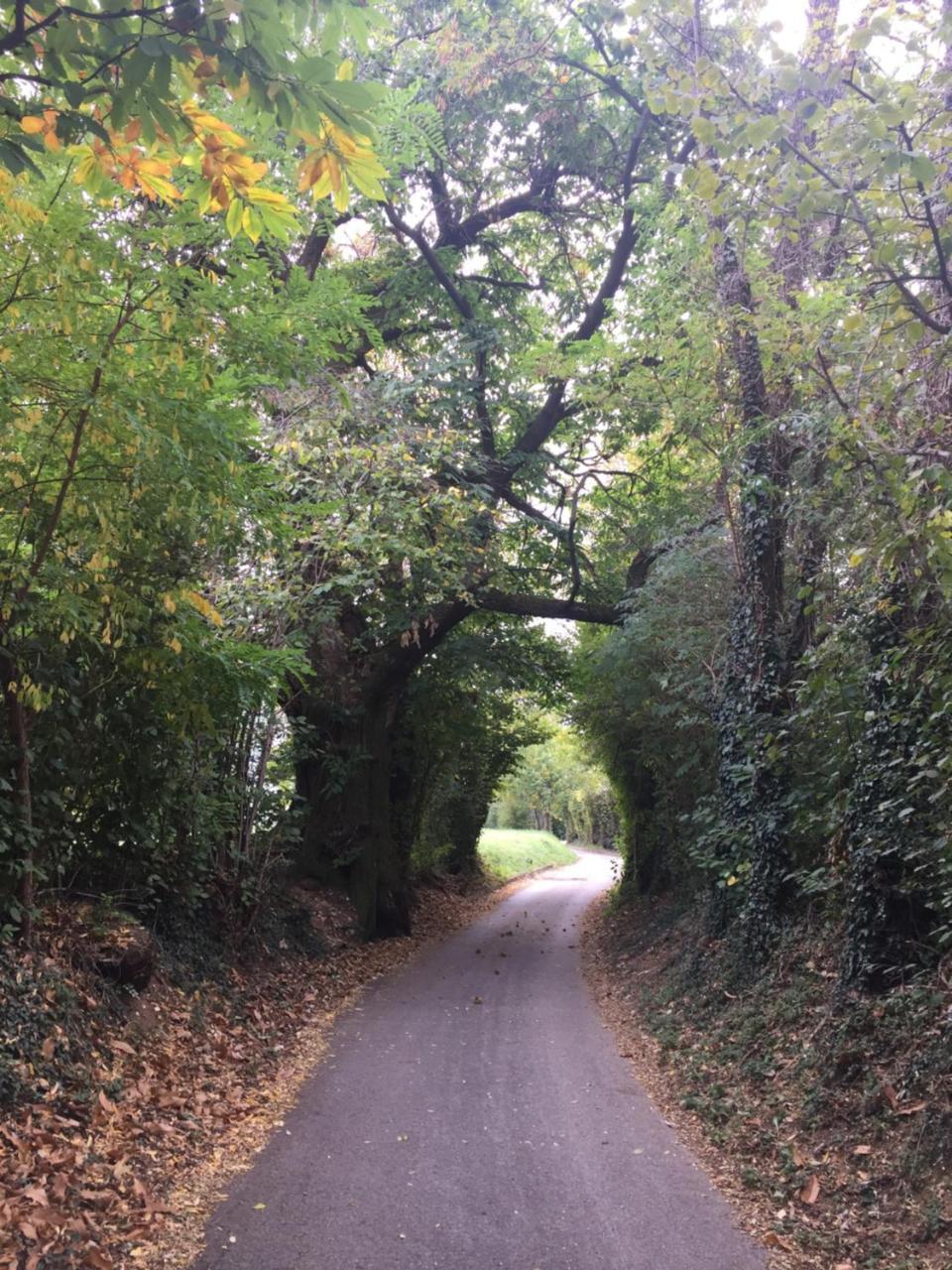 Calvenere Lodge