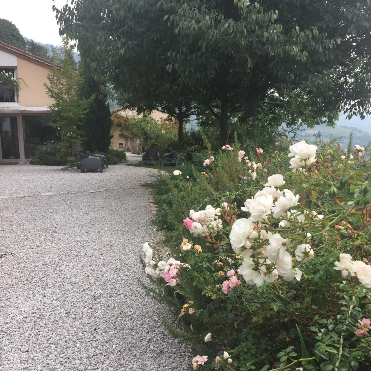 Lodge Calvenere Calvene