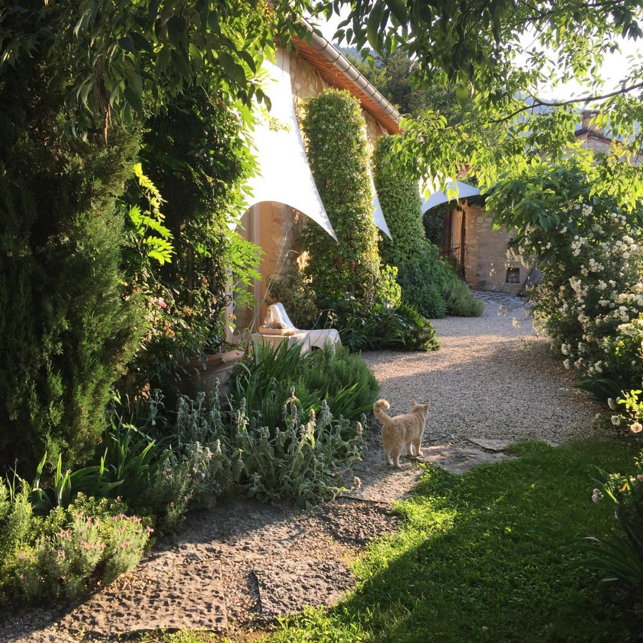 Lodge Calvenere *